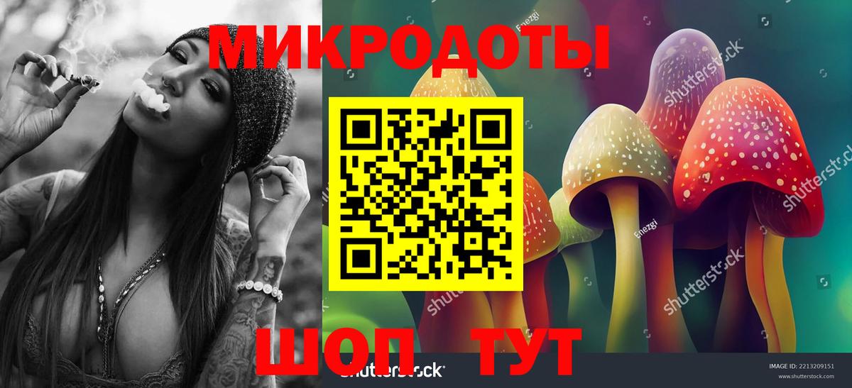 Галлюциногенные грибы Psilocybe Михайловка